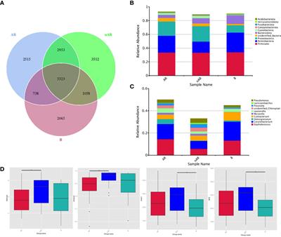 Microbial characterization of the nasal cavity in patients with allergic rhinitis and non-allergic rhinitis